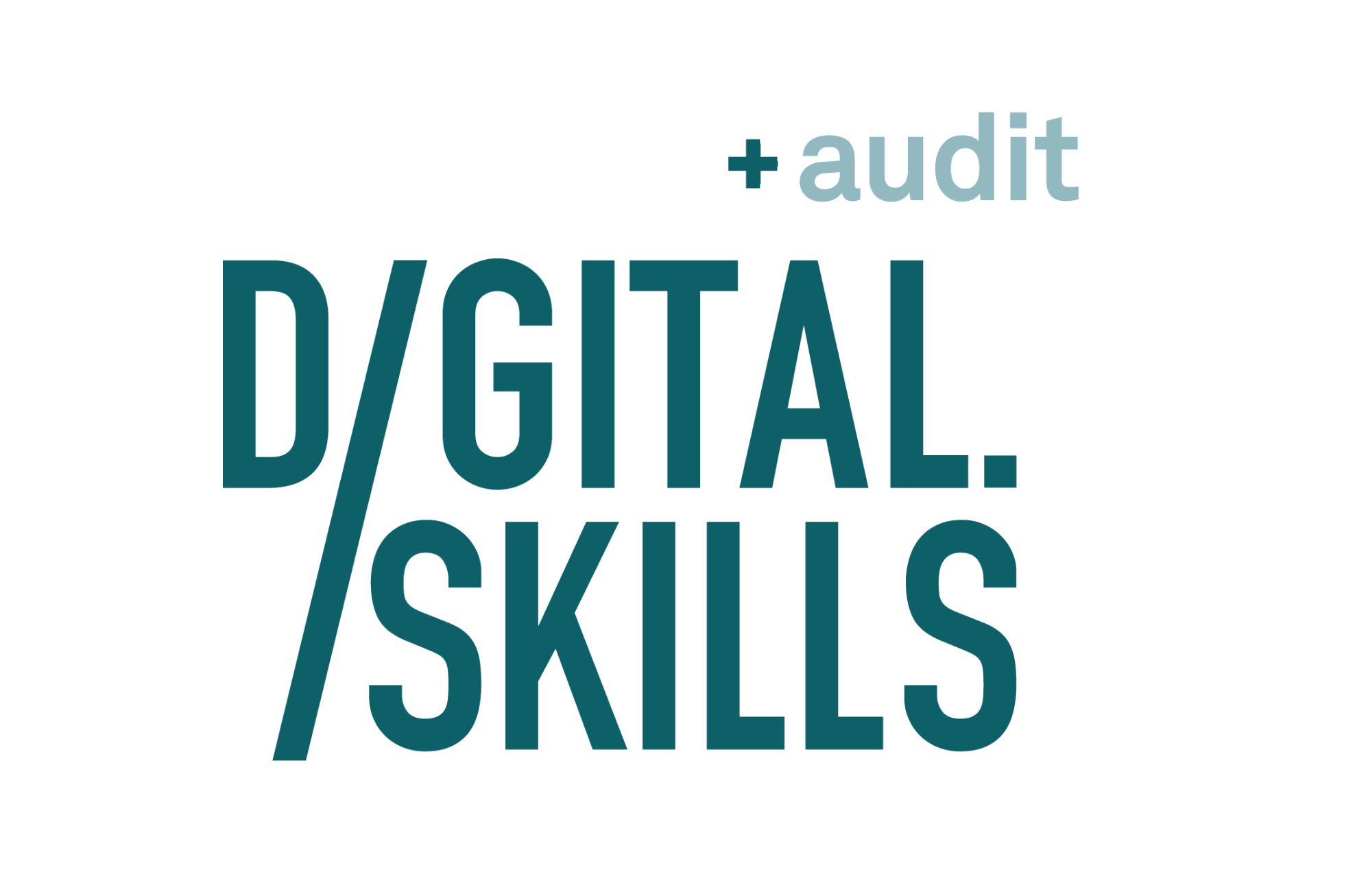 Digital Skills Audit