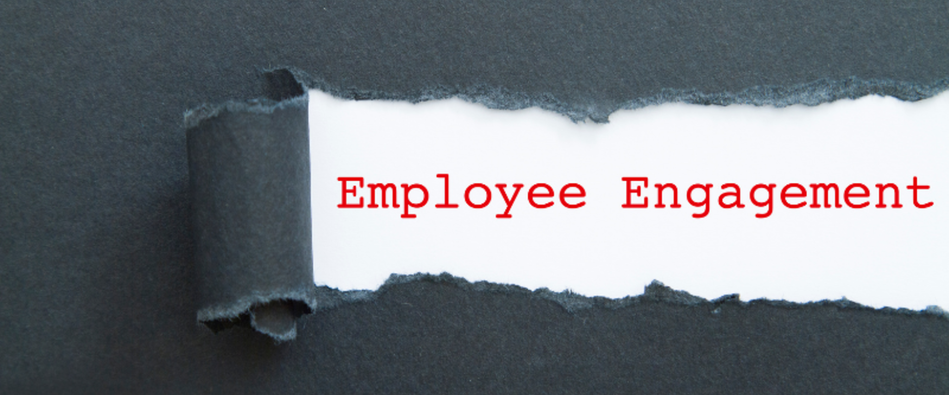 What is Employee Engagement and Why Does it Matter?