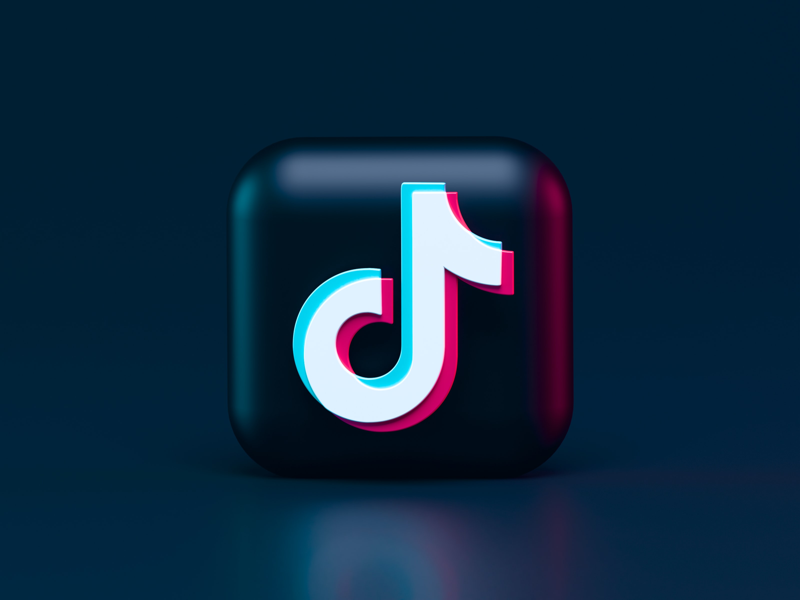 How Does the TikTok Algorithm Work? (+ Learn How to Go Viral)