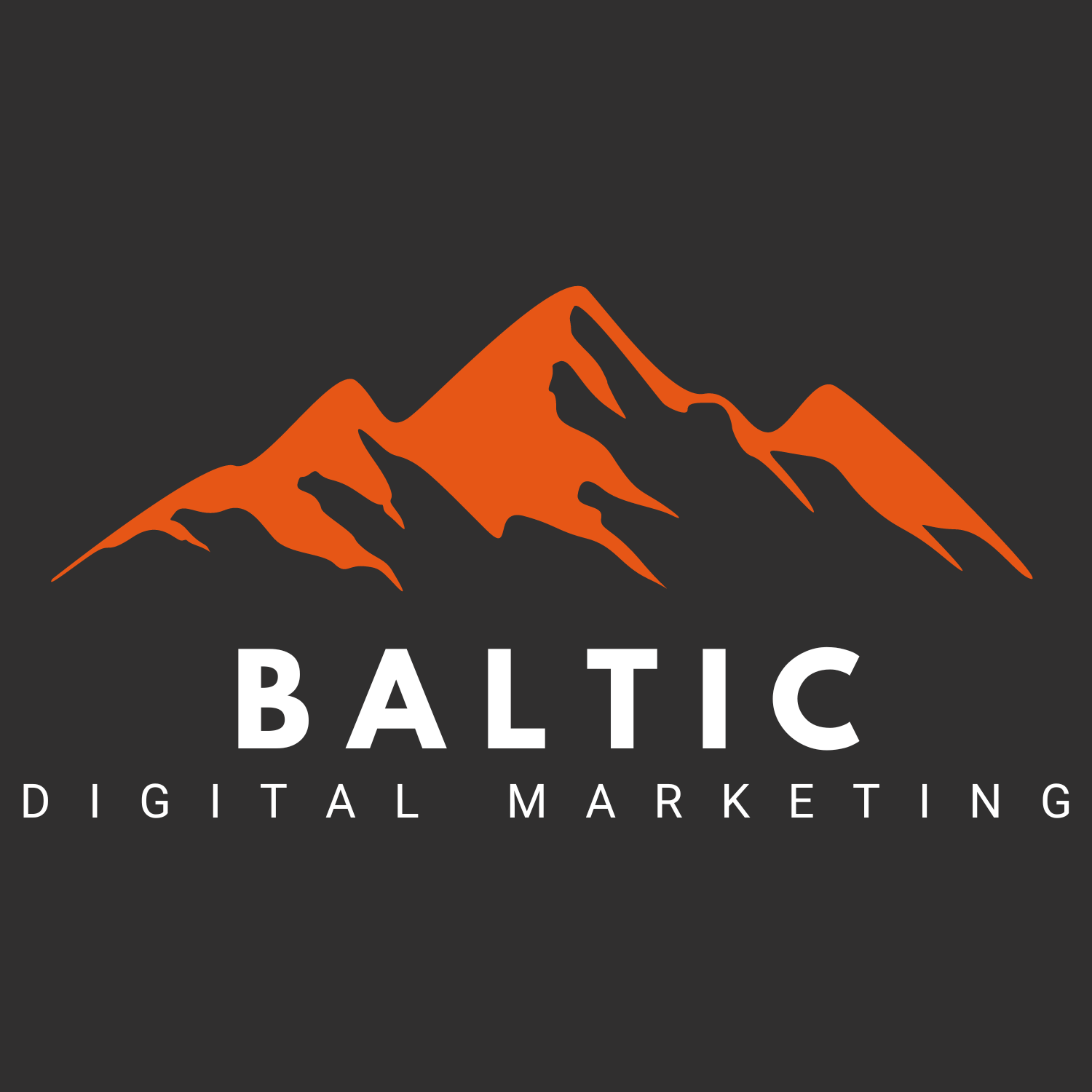Baltic-digital-marketing-small-business