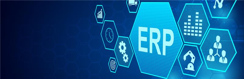 How enterprises are using low-code/no-code tools to extend ERP capabilities faster?